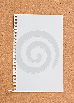 Blank notepad.