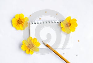 Blank notepad pencil and flowers