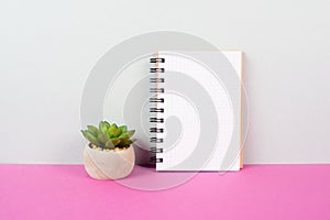 Blank notepad with a pencil on a pink and graybackground, pot with a cactus, copy space for text, office desk