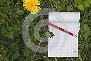 Blank notes pad with recycled paper and red wooden pencil on the grass