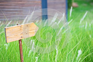 Blank old wooden direction signboard over grass on nature background, Blank copy space wood sign board outdoors for your