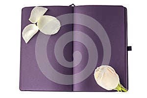 Blank open black diary notebook, sketchbook decorated with white roses with space for text or lettering. Concept of writing
