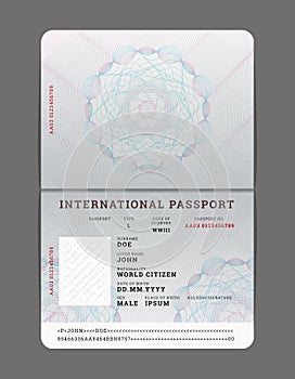 Blank open passport template