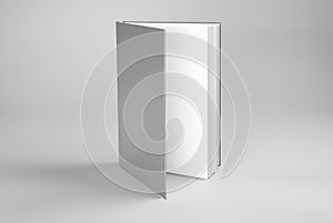 Blank open standing book