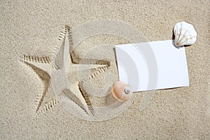 Blank paper beach sand starfish pint shells summer