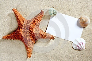 Blank paper beach sand starfish shells summer