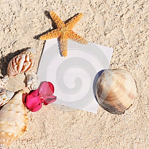 Blank paper beach sand starfish shells summer