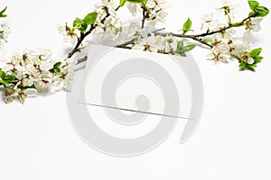 Blank paper card and blossoming branch with green leaves as spring concept template