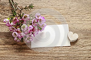 Blank paper card and bunch of chamelaucium flowers waxflower on wood