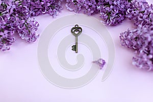 Blank paper card with lilac flowers and vintage key on pink background. Space for text. Flat lay style.
