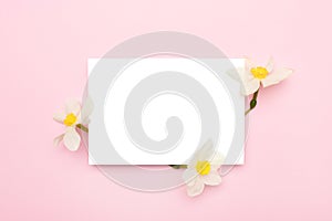 Blank paper card mockup with white narcissus flowers.