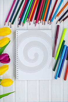Blank paper and colorful pencils