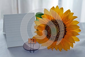 Blank paper note with sunflower. Sunflower on a table with blank notepaper, smiling face paper clip on stone on white background