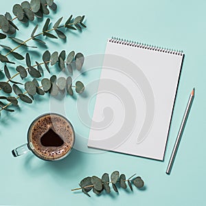 Blank paper notebook and eucalyptus. copy space