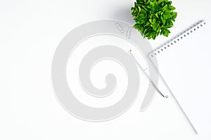 Blank paper notepad, white pen and green plant on home office desk. Top view, flat lay. Minimal workspace concept