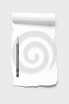 Blank paper scrap with scrolled edge and pencil