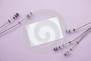 Blank paper sheet card and lavender flowers on pastel purple background. Flat lay, top view mockup with empty copy space