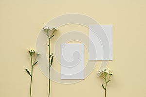 Blank paper sheet cards and yarrow flowers on neutral beige background. Flat lay, top view mockup with empty copy space