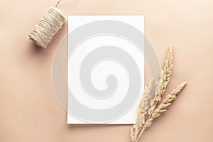 Blank paper sheet mockup on beige background