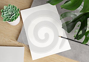 Blank paper on wooden desk Mockup. 3d rendering of A4 empty white sheet on concrete plate with monstera plant, cactus and pencil