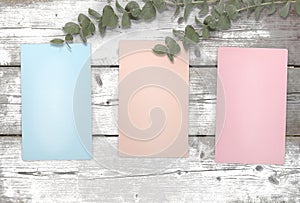 Blank pastel colored cards on weathered wooden background with white paint and silver dollar