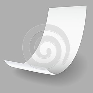 Blank payment check and receipts with shadow. Curved financial paper, purchase invoice. Buying, bill or calculate pay