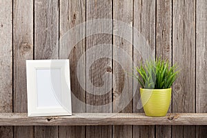 Blank photo frame and plant