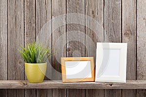 Blank photo frames and plant