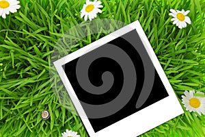 Blank photograph template on green grass