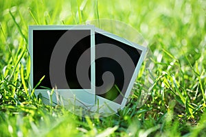 Blank photos in grass