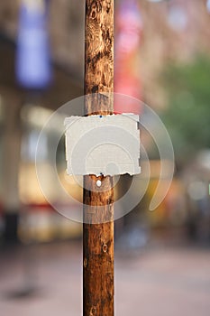 Blank pice of cardboard