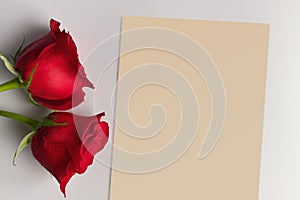 A Blank piece of note paper beside 2 red roses on a white countertop