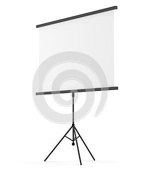 Blank portable projection screen