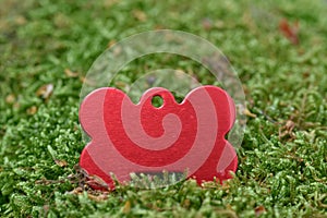 Blank red Dog Tag on the green grass