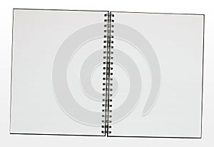 Blank ring binder pad border