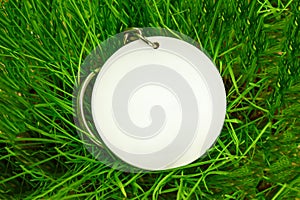 Blank round badge in green grass