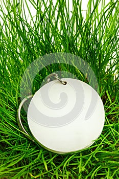 Blank round badge in green grass