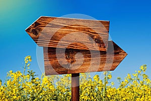 Blank Rustic Opposite Direction Wooden Sign in Rapeseed Field