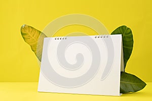 Blank screen Calendar paper for text on yellow background with leaves frame