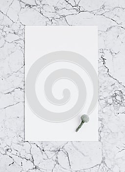 Blank sheet of white paper on marble with brunia flower. Mockup
