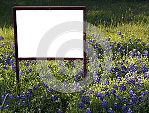 Blank Sign in Bluebonnets