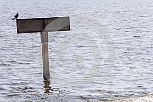 Blank Sign board iron on pole in the sea with reflection light in rippled effect textured water for design backgrounds and