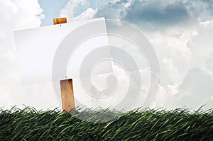 Blank sign on the lawn