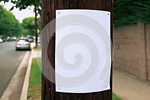 A blank sign on a telephone pole