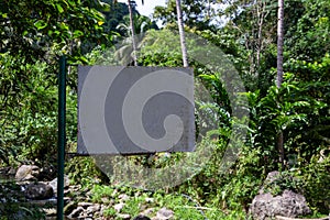 Blank signpost in green forest. Empty sign on metallic pillar in tropical rainforest. Hiking in jungle forest banner template