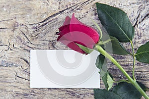 Blank space for love message for Valentine`s day with red rose