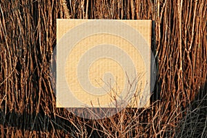 Blank space for text on piece of cardboard placed among dried twigs