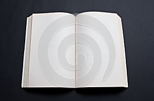 Blank spread of book