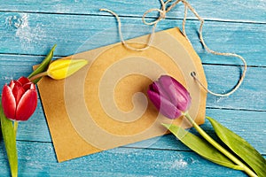 Blank tag with fresh spring tulips