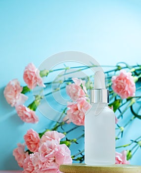 Blank transparent beauty serum dropper on  blue background with blooming pink carnation flowers. Beauty care concept advertisment